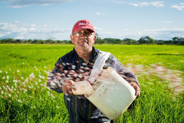 Seasoned Agricultural Specialist Sowing Crops